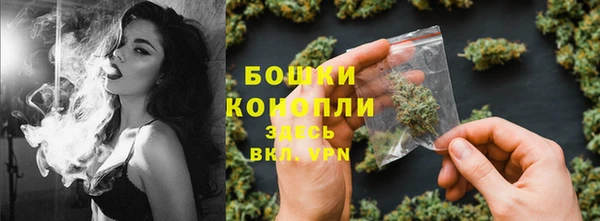 трава Инсар