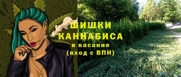 трава Инсар