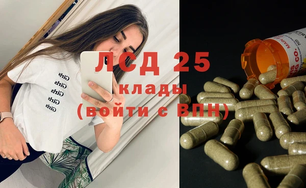 амф Зерноград